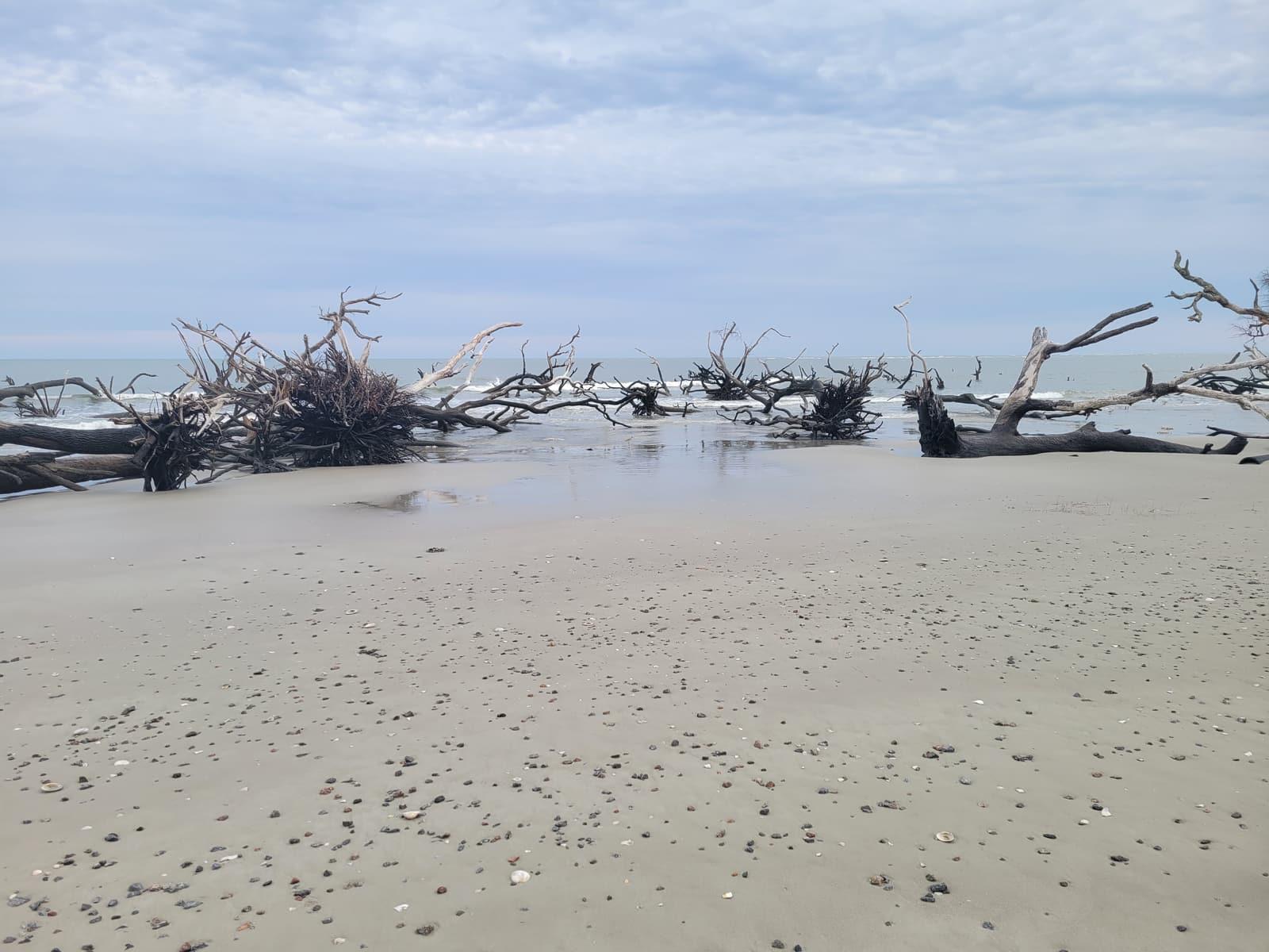 The wide Atlantic beach at Hunting Island State Park, South Carolina.