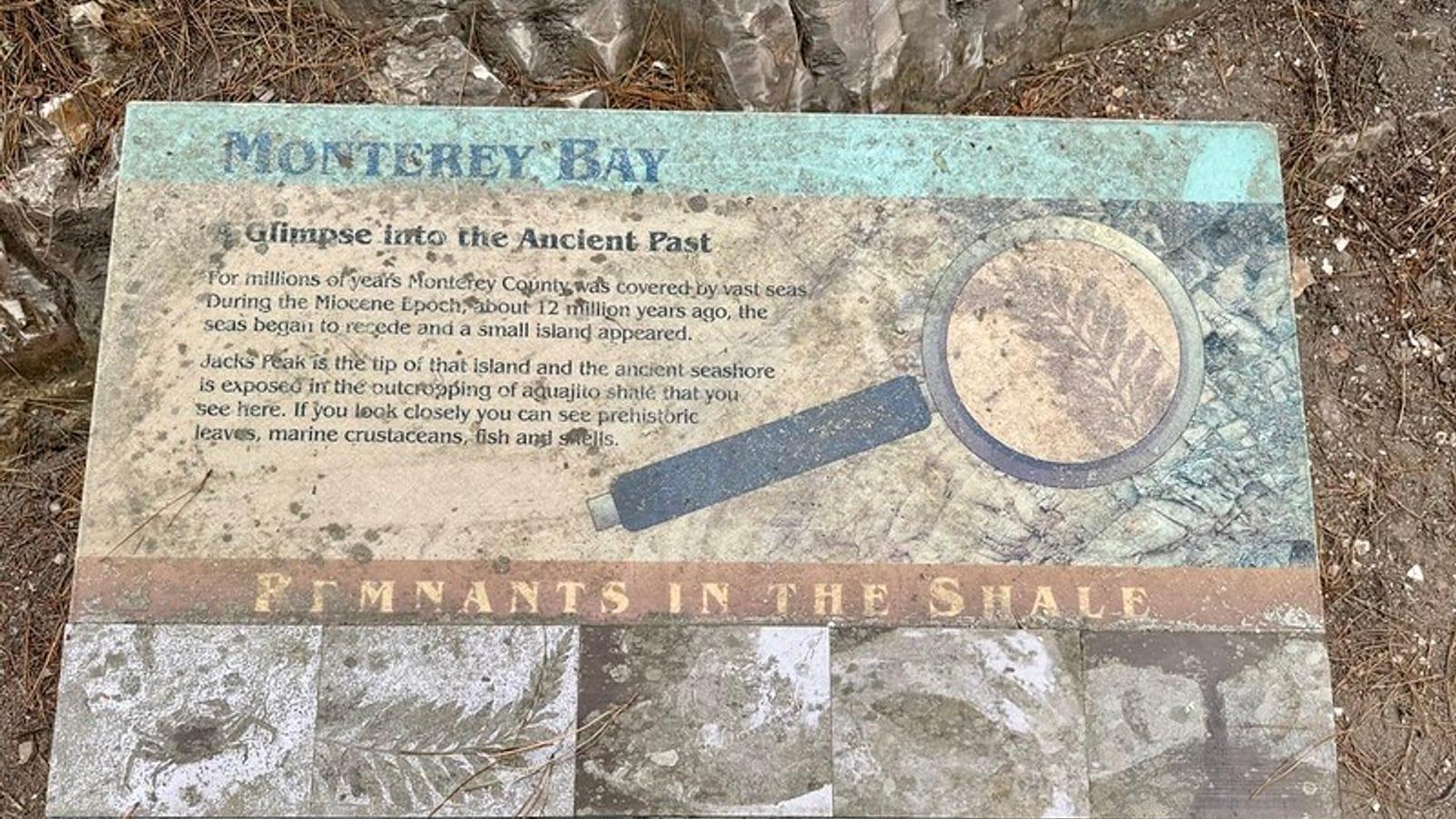Find Fossils in Jack's Peak County Park Fossil Hunting Guide