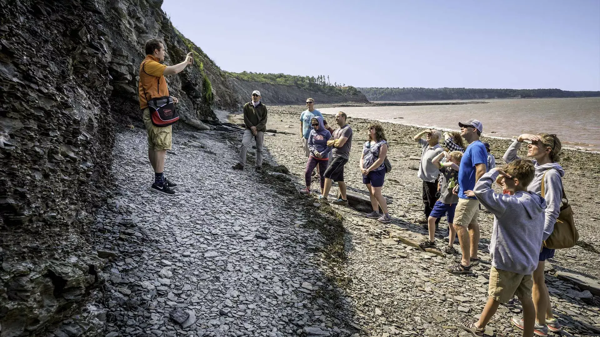 Joggins Fossil Cliffs Fossil Hunting Guide