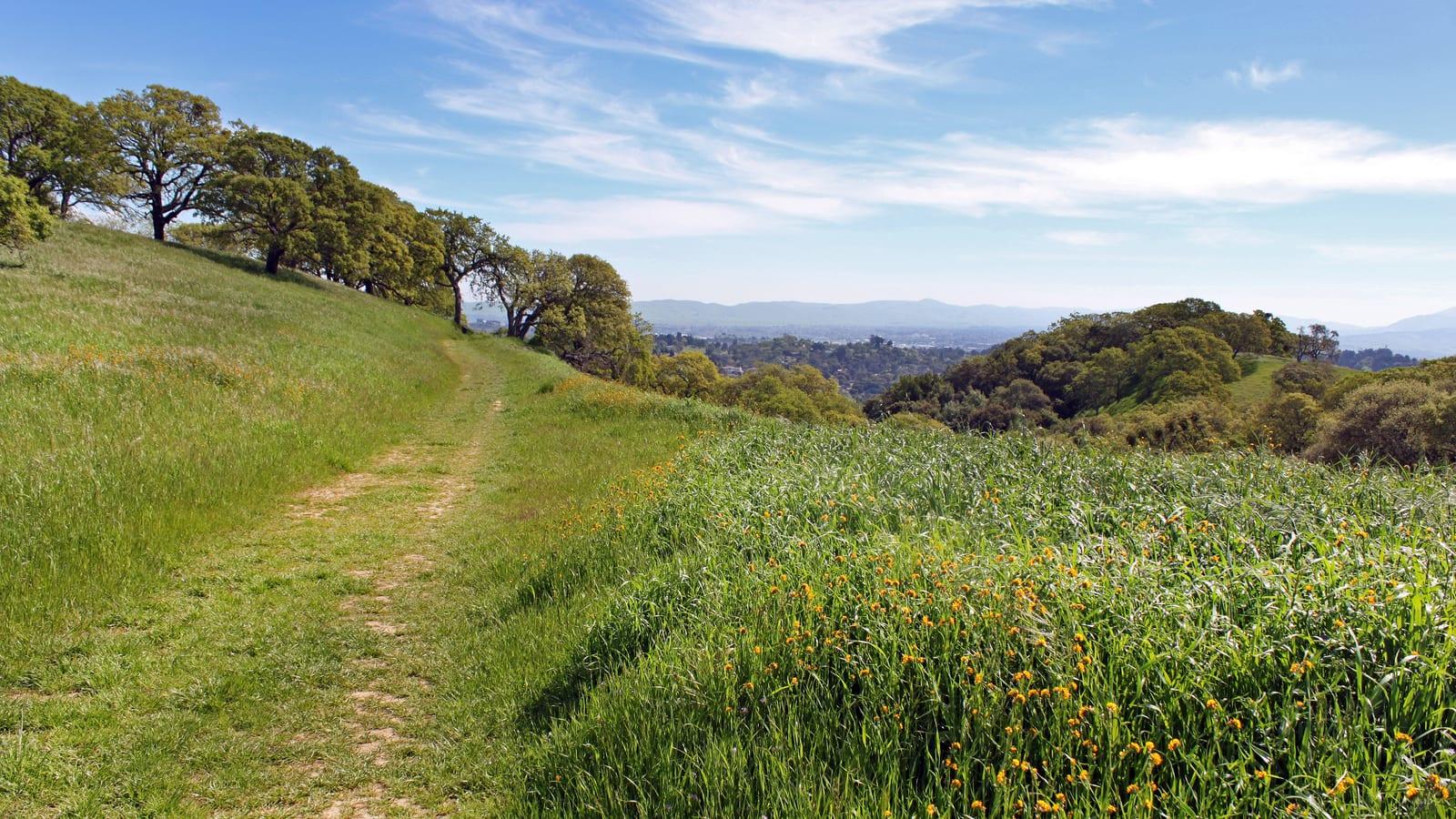 John Muir National Historic Site