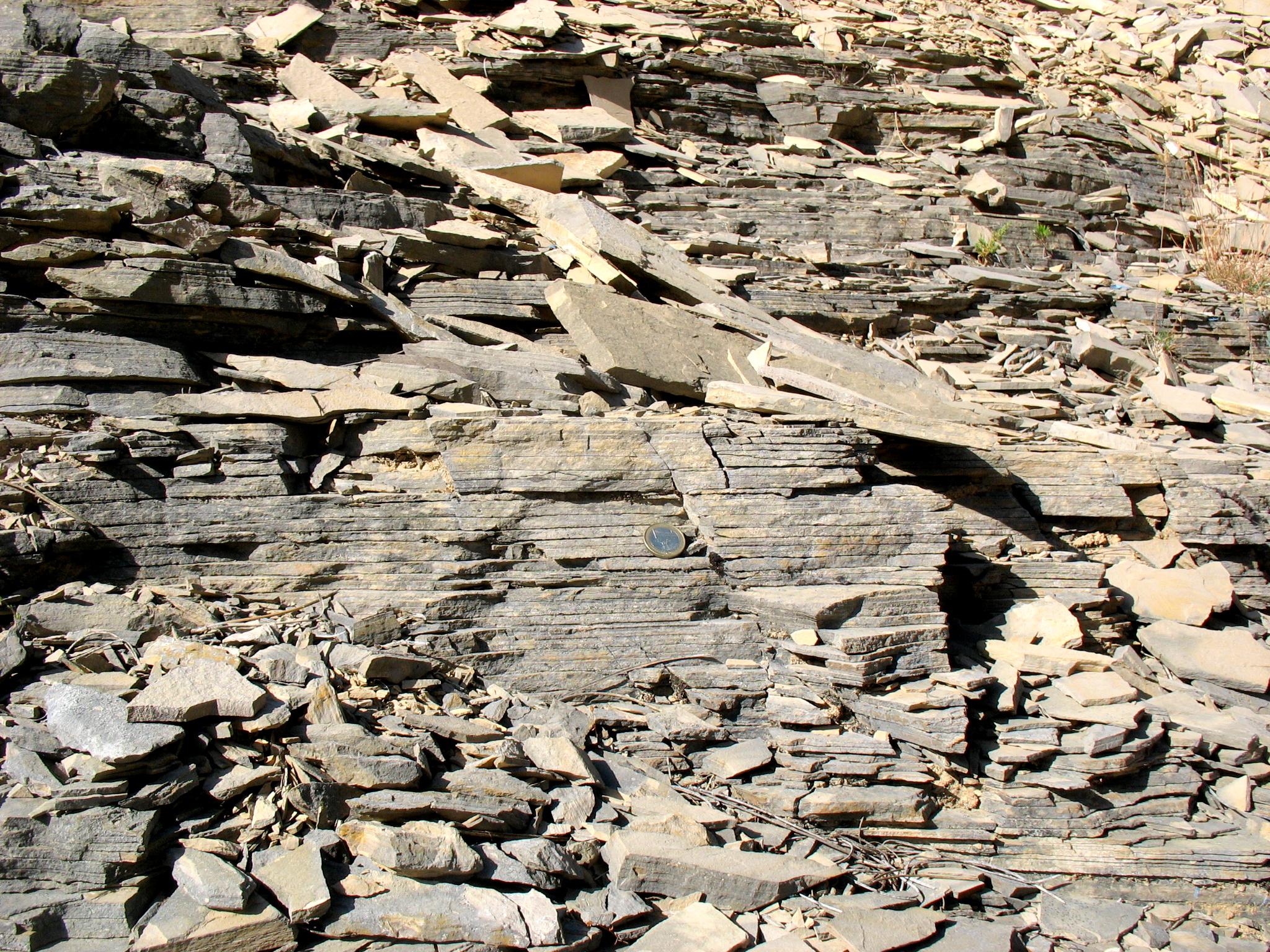 Stacked thin laminated limestone slabs split open with a coin for scale at Las Hoyas Lagerstätte near Cuenca, Spain.