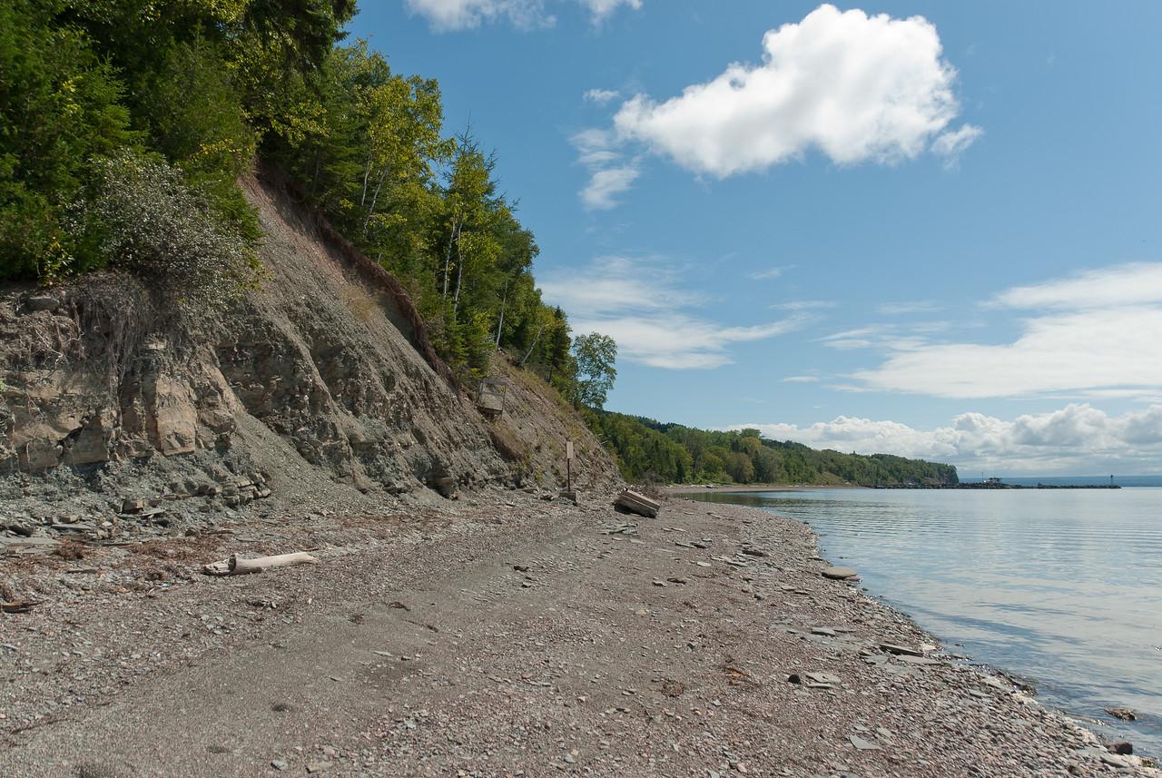 Miguasha National Park Fossil Guide