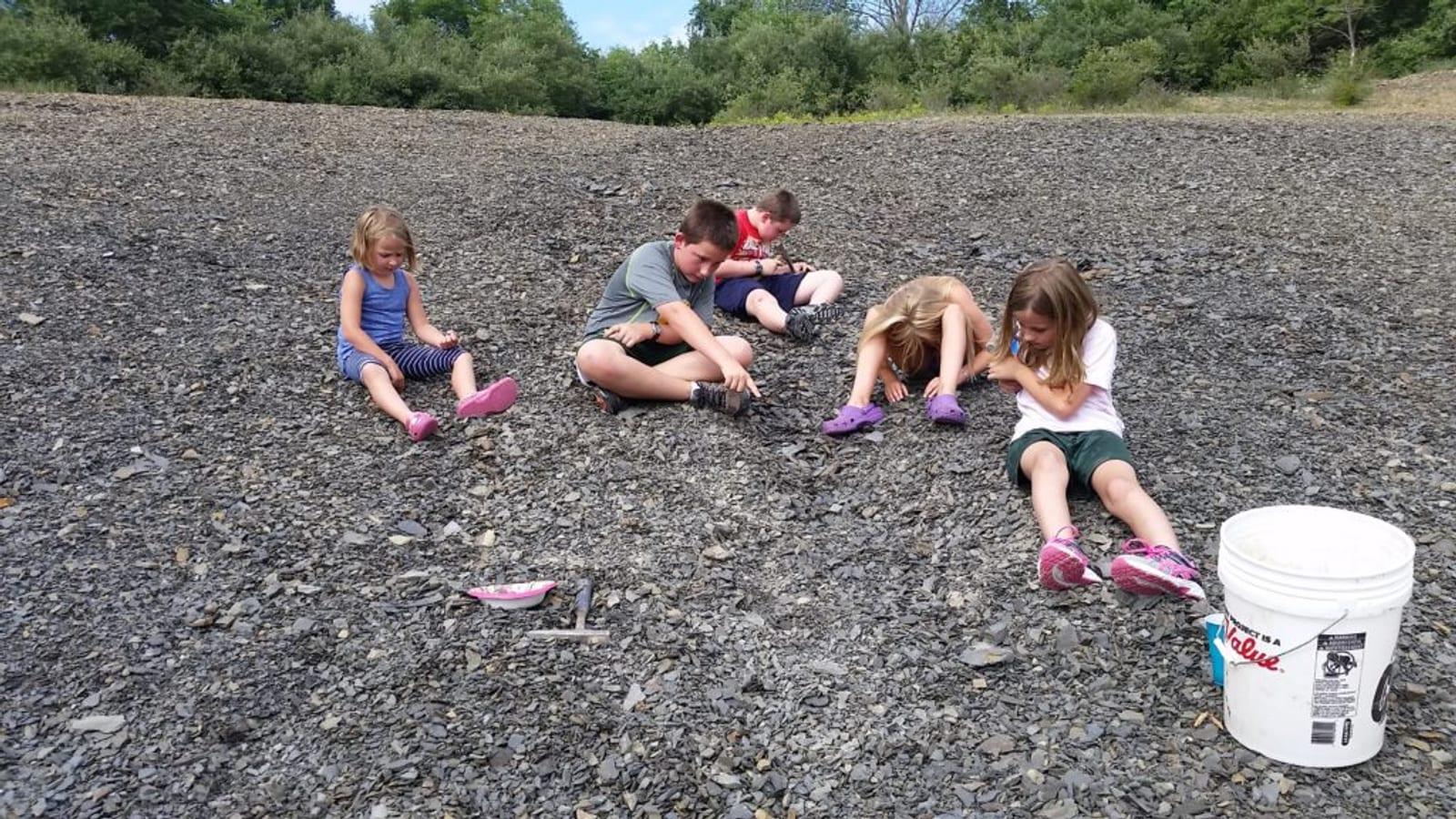 Montour Preserve Fossil Pit Fossil Hunting Guide