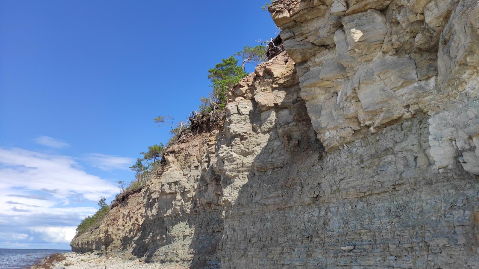 The layered dolostone face of Panga Cliff dropping to the Baltic shore on Saaremaa