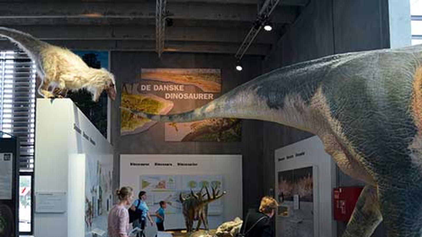 Robbedale Gravel Pit: Denmark's Only Dinosaur Fossil Site