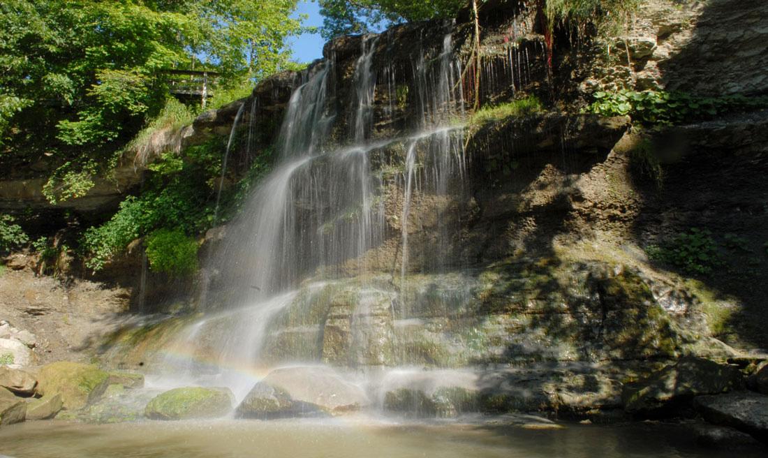 Rock Glen Conservation Area Fossil Guide