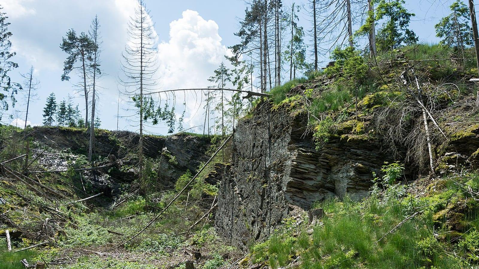 Schieferbruch Kromer Ohmden Posidonia Shale Fossil Collecting