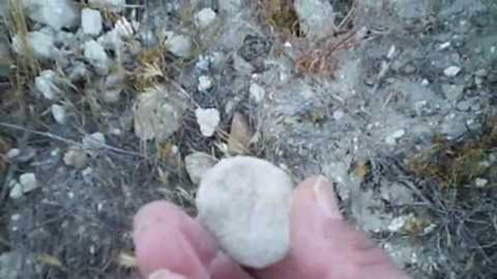 Finding Fossils at Shell Creek