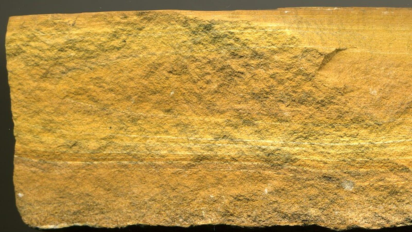 Stendalgraven Quarry Fur Island Eocene Fossils