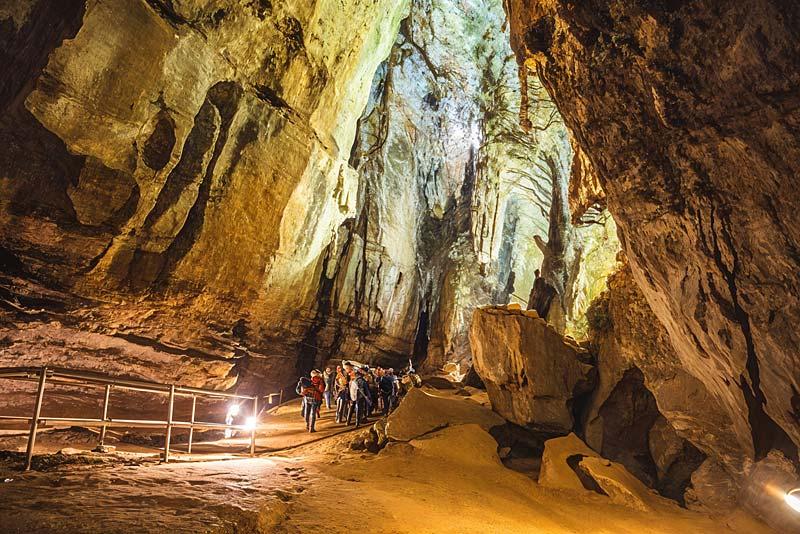Sterkfontein Caves Fossil Site Guide