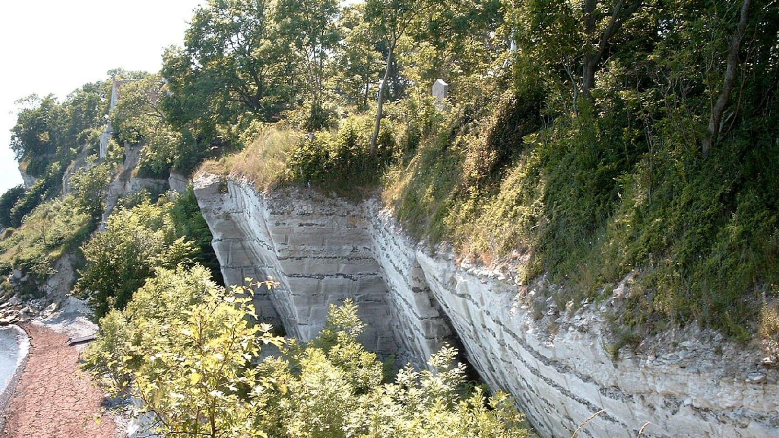 Stevns Klint Hoejerup k pg Boundary Fossils