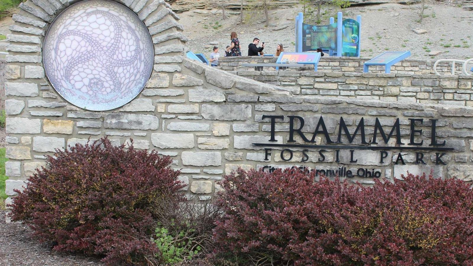 Trammel Fossil Park Fossil Hunting Guide