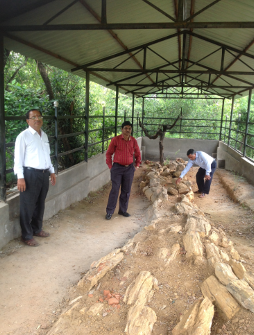 Wadadham Fossil Park in Sironcha taluka, Gadchiroli District, Maharashtra