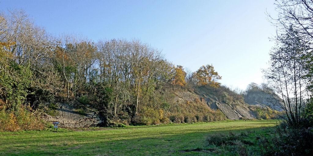 Wren's Nest National Nature Reserve Fossil Guide