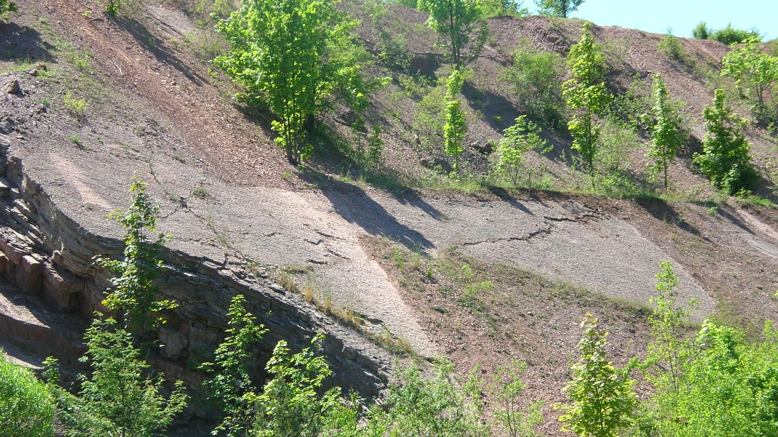 The worked faces and floor of the abandoned Zachełmie dolomite quarry under summer trees