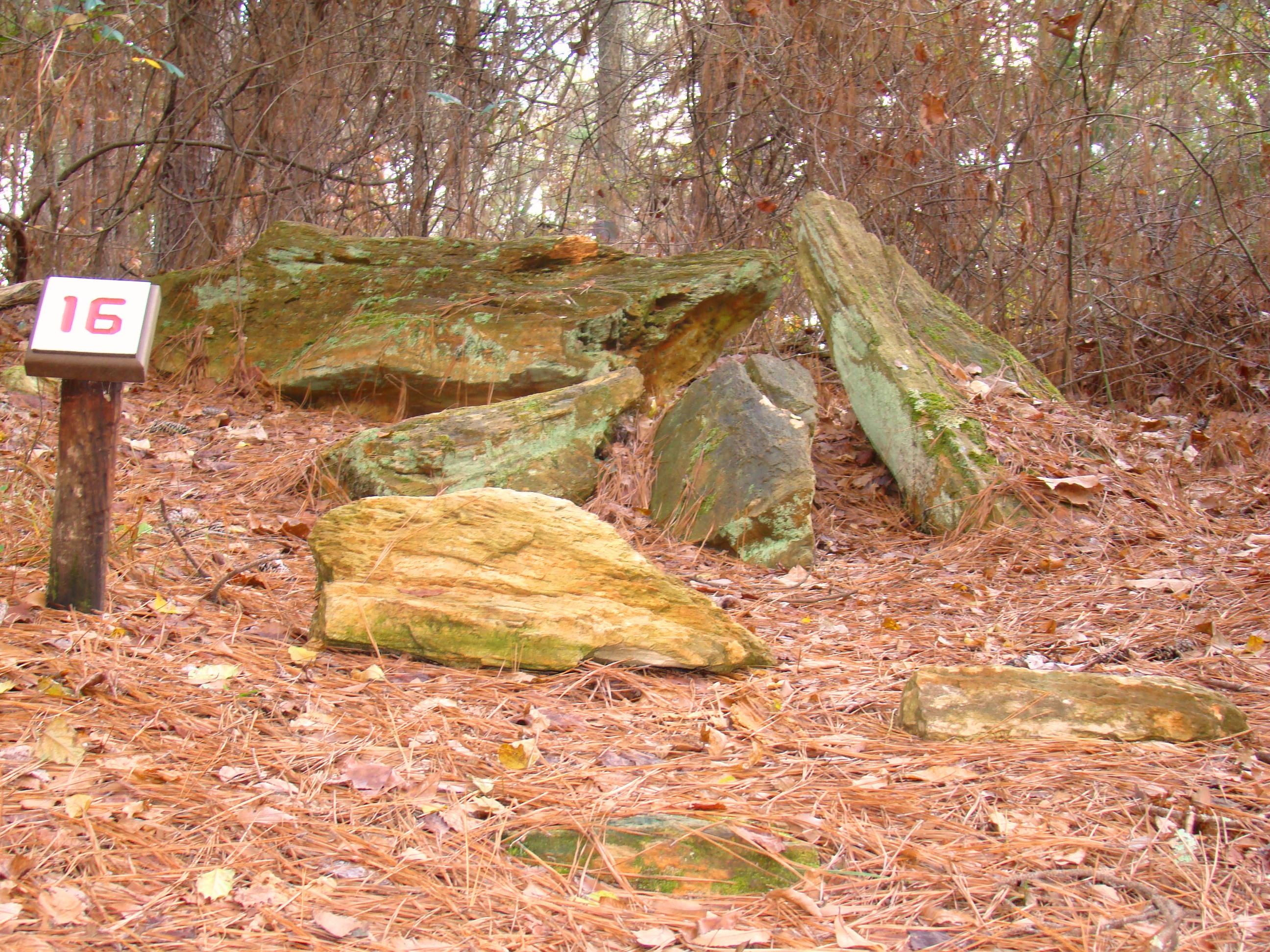 Large petrified logs lying along the nature trail at the Mississippi Petrified Forest near Flora.