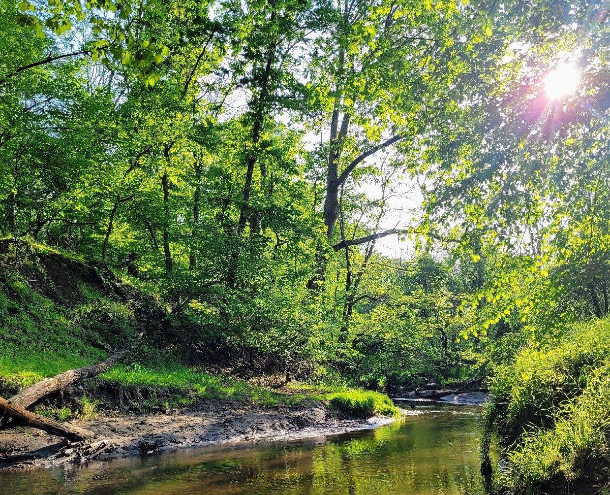Big Brook Preserve Fossil Hunting Guide