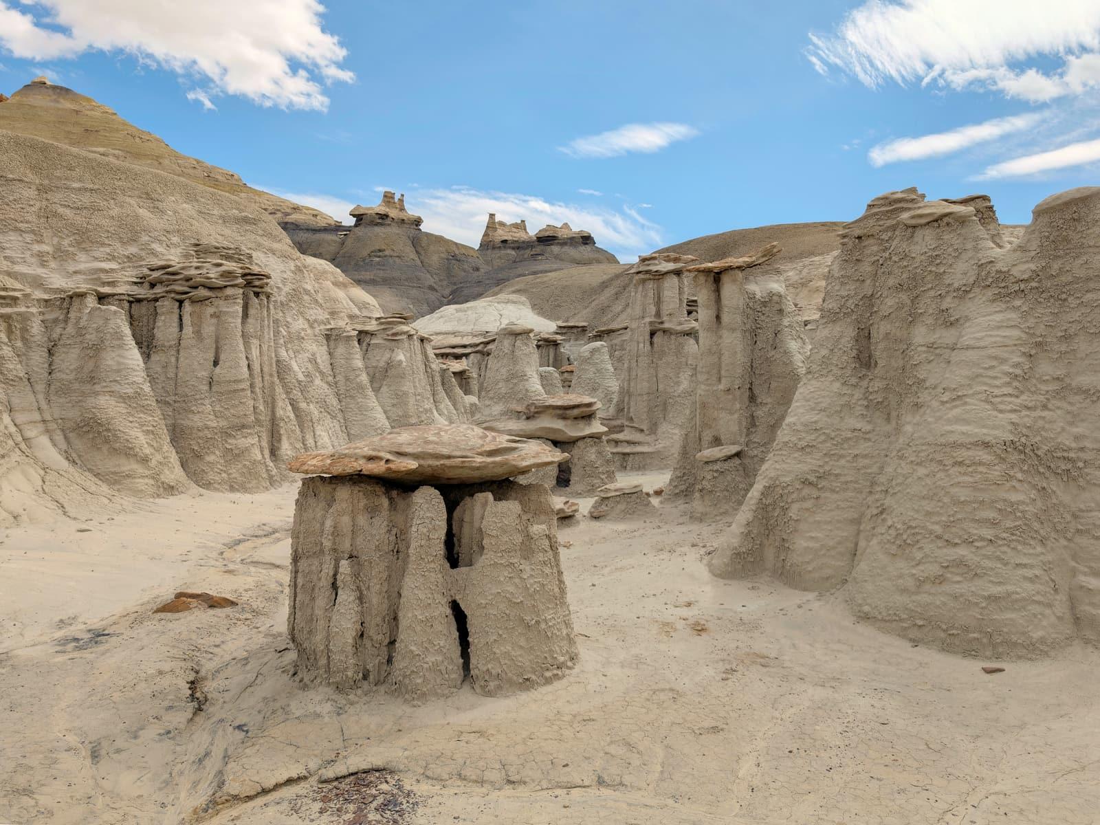 Eroded sandstone hoodoos in the badlands of the Bisti/De-Na-Zin Wilderness, New Mexico.