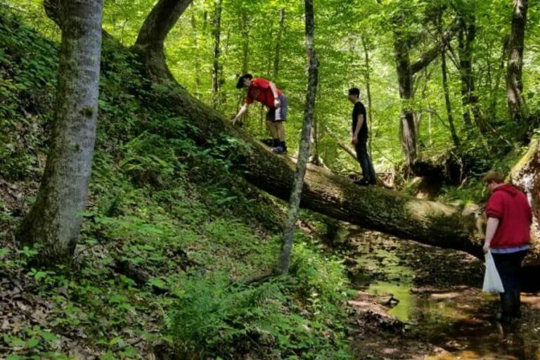 Coon Creek Science Center Fossil Dig Guide