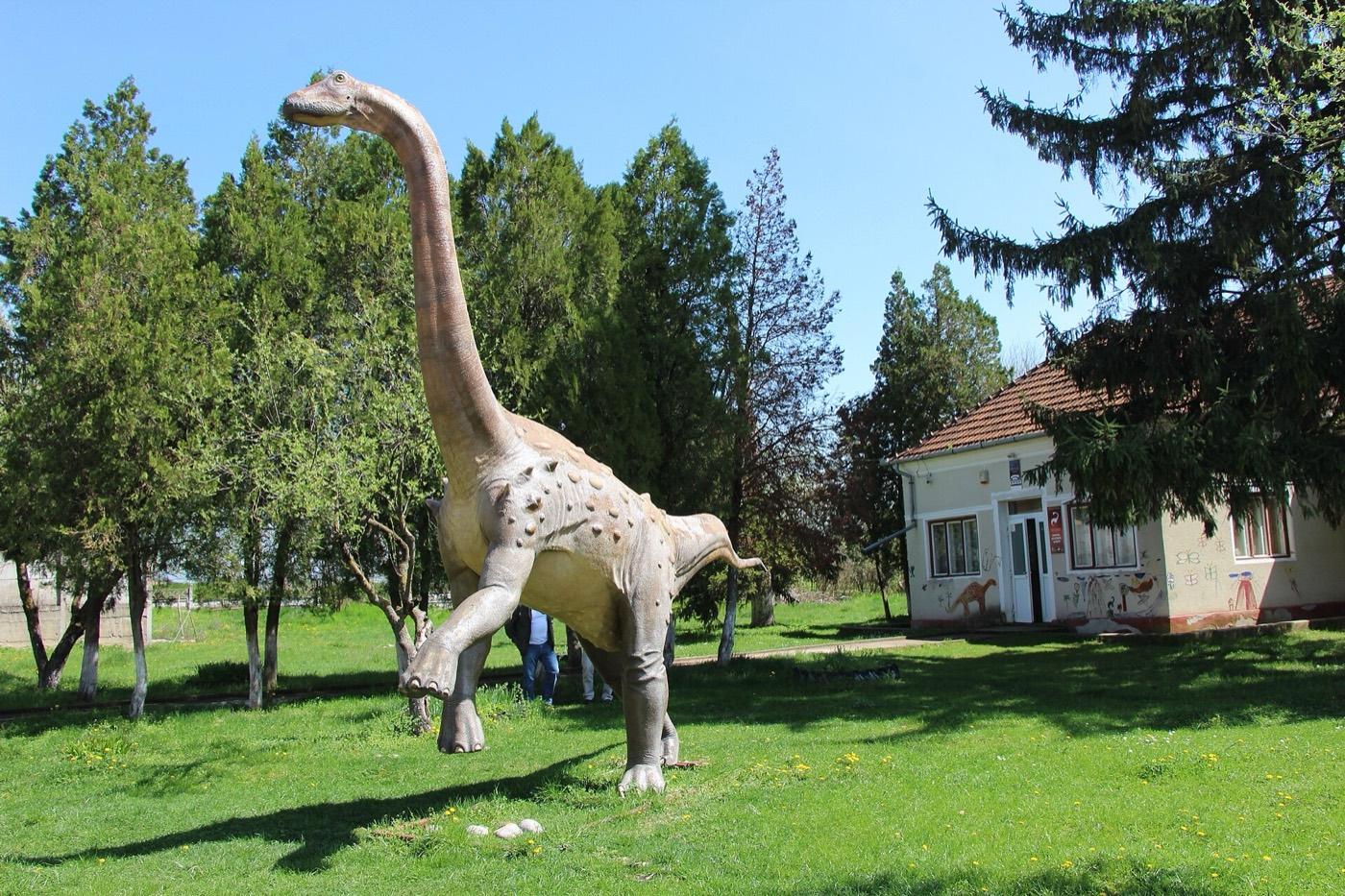 Life-size Magyarosaurus dacus model standing in parkland in the Hateg basin
