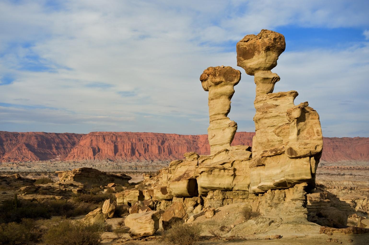 Ischigualasto Provincial Park Fossil Guide