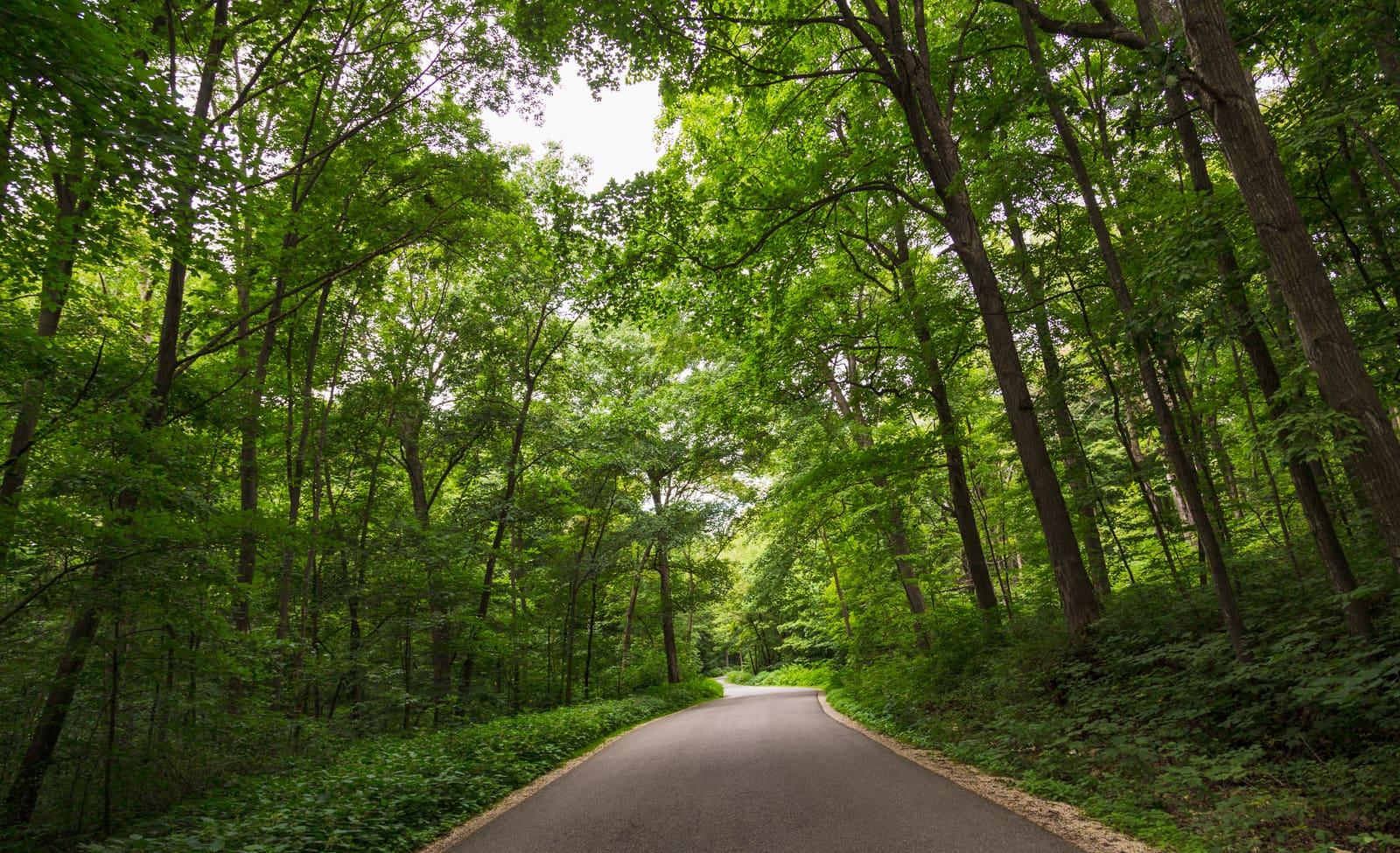 The wooded bluff country of Forestville/Mystery Cave State Park in the karst region of southeastern Minnesota.