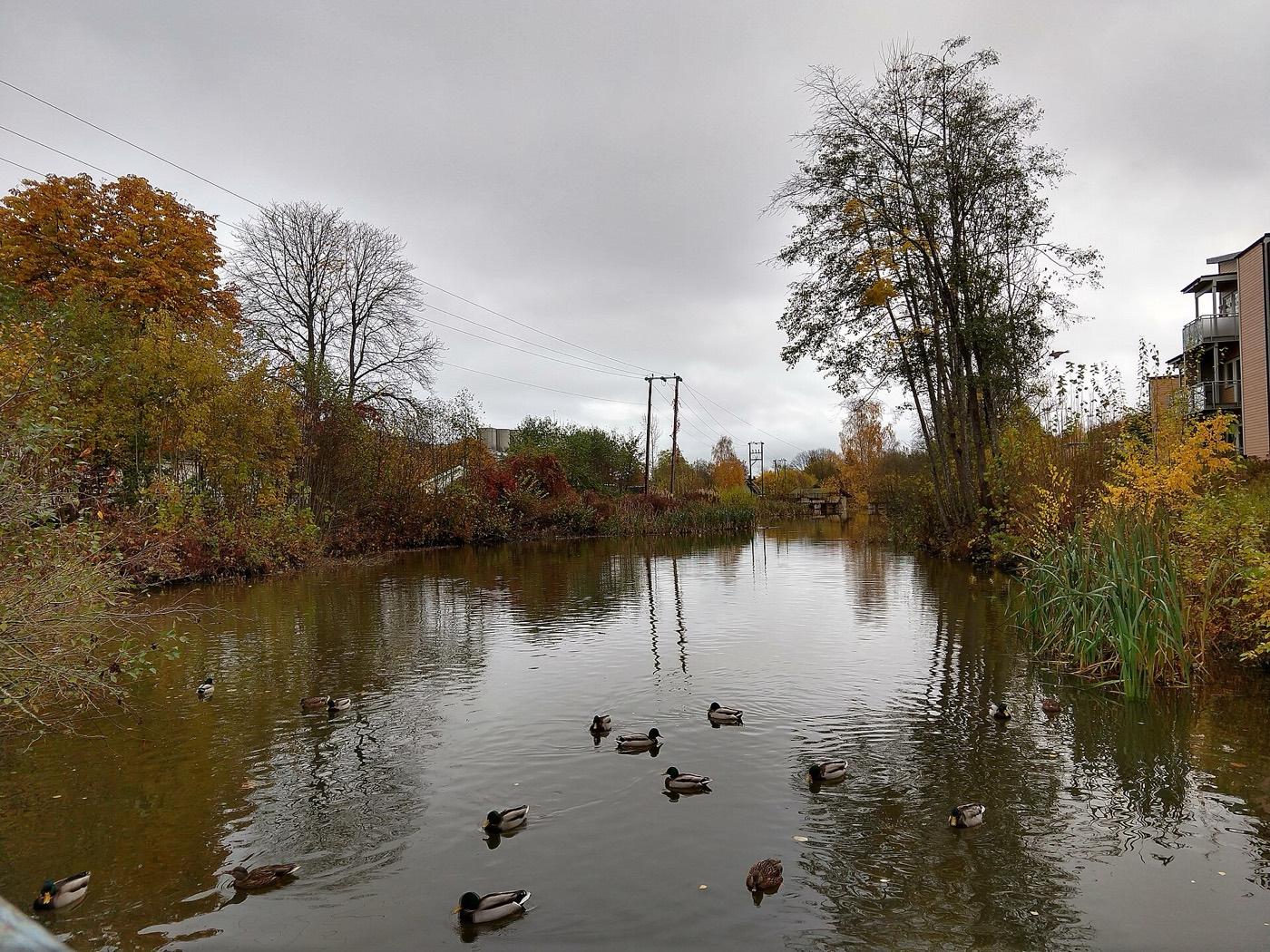 The Rordammen dam on the Bobekken stream at Slemmestad, wooded banks on both sides