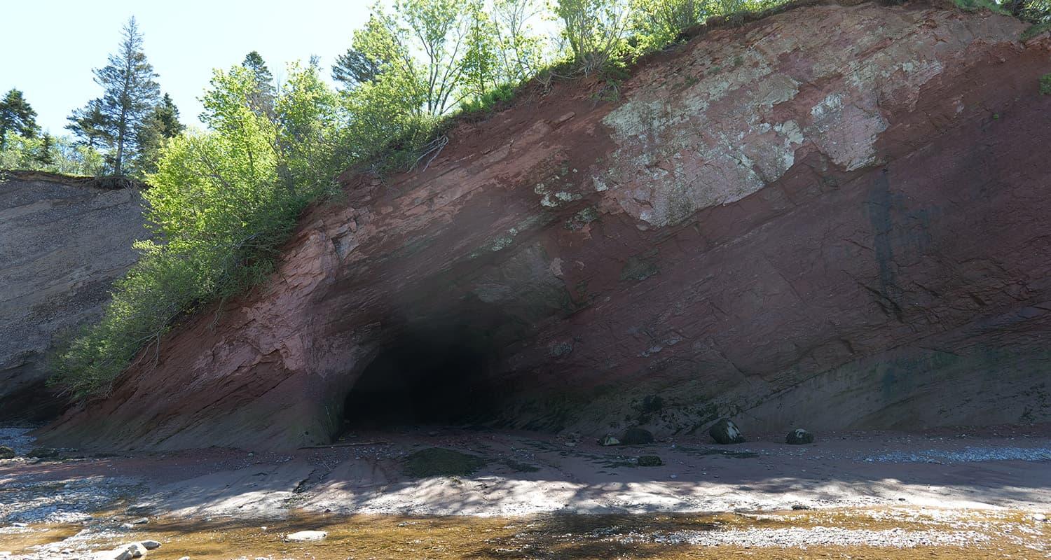 Red sandstone cliff with a dark sea cave opening at its base and shallow water in front in Stonehammer Geopark, NB.