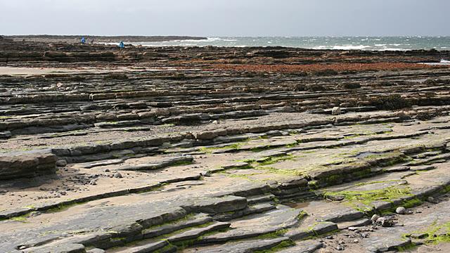 The bedded limestone platform at Streedagh Point running out towards the Atlantic