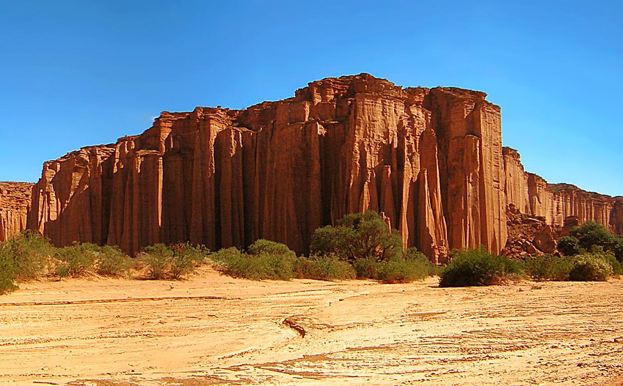 Tall fluted red sandstone cliff rising above a sandy desert wash and scrubby vegetation at Talampaya National Park.