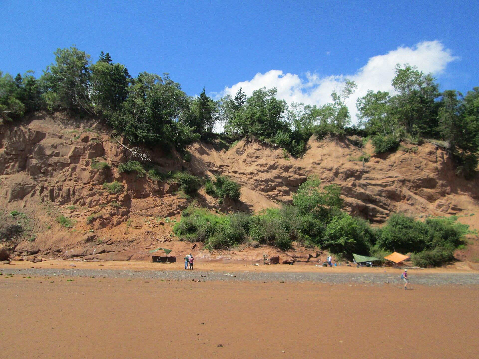 The dinosaur-bearing cliffs of Wasson Bluff rising above the boulder-strewn Bay of Fundy shore