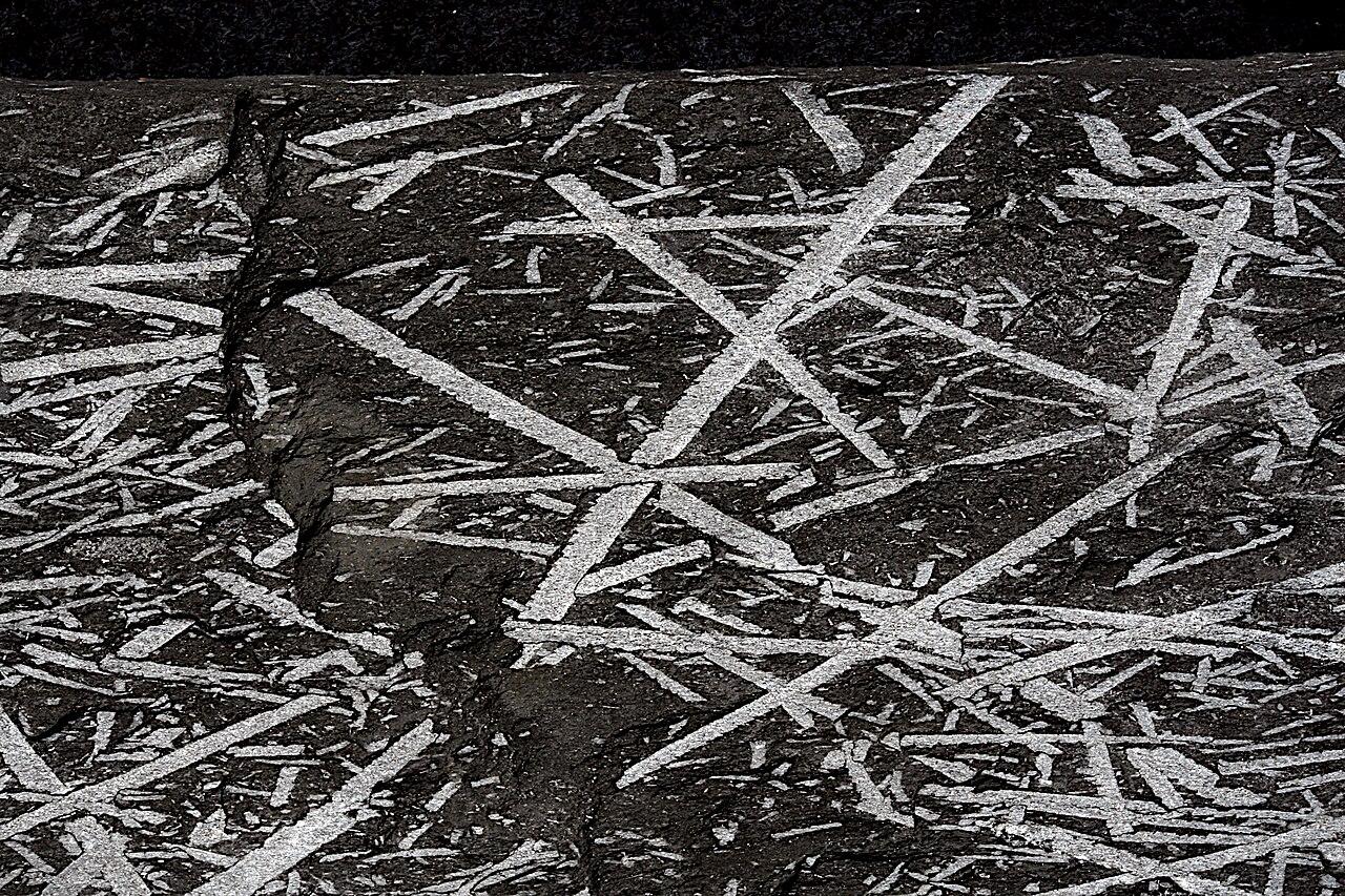 Fossils of Monograptus, a genus of graptolite
