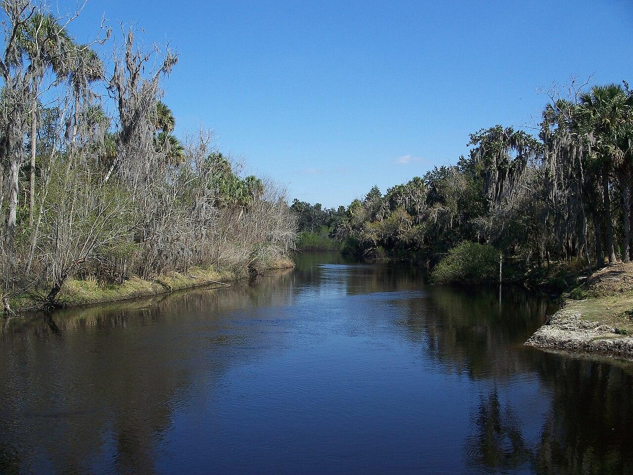 The Peace River running slow and dark between wooded banks at Zolfo Springs, Florida