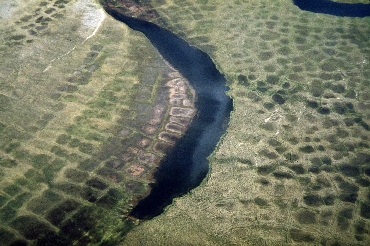 Patterned Ground Shows Ice Polygons (Lattice Outlines) and Typical Summer Arctic Tundra