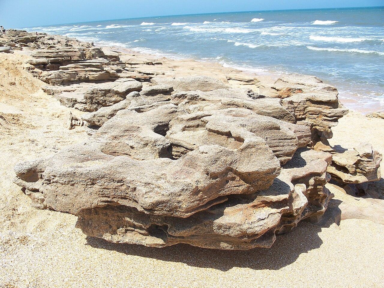 Coquina outcropping on the beach in Washington Oaks Gardens State Park, near Palm Coast, Florida