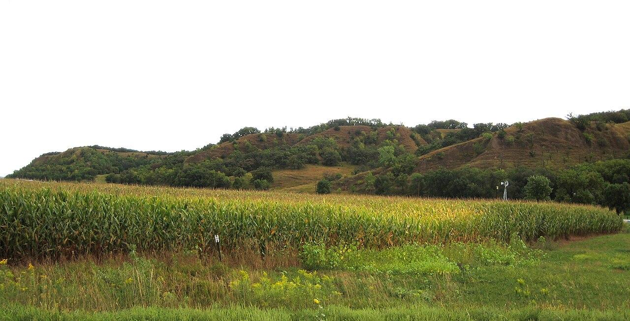 Loess Hills, east of Mondamin, Iowa