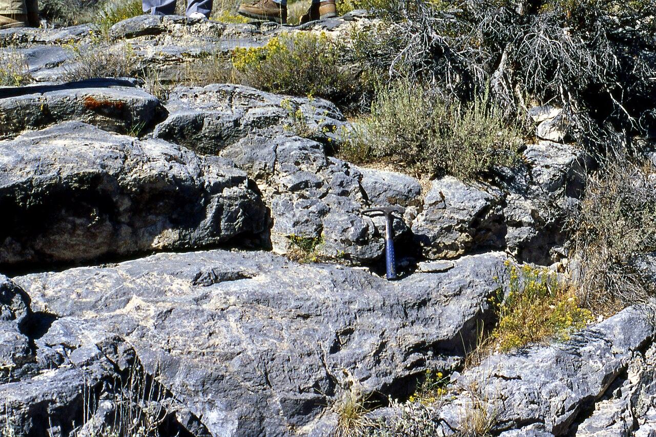 Stromatolitic-algal limestones in the Cambrian of Utah, USA