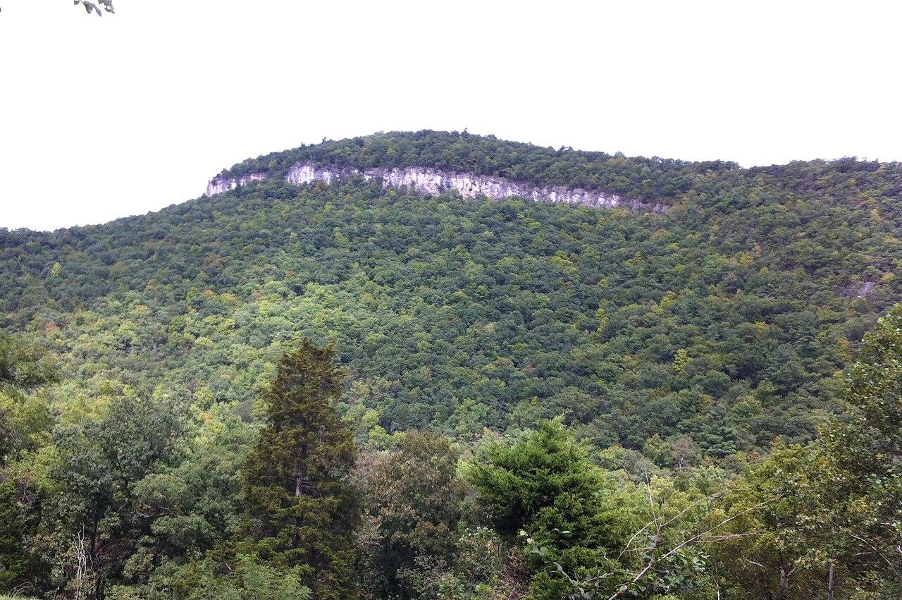 The Cave Mountain Anticline, exposed on Cave Mountain, Pendleton County, West Virginia, USA