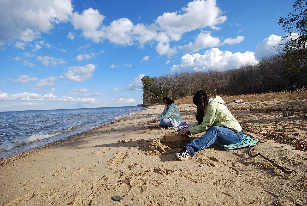 Two people sitting on a sandy beach sifting through shingle at the water's edge, searching for shark teeth
