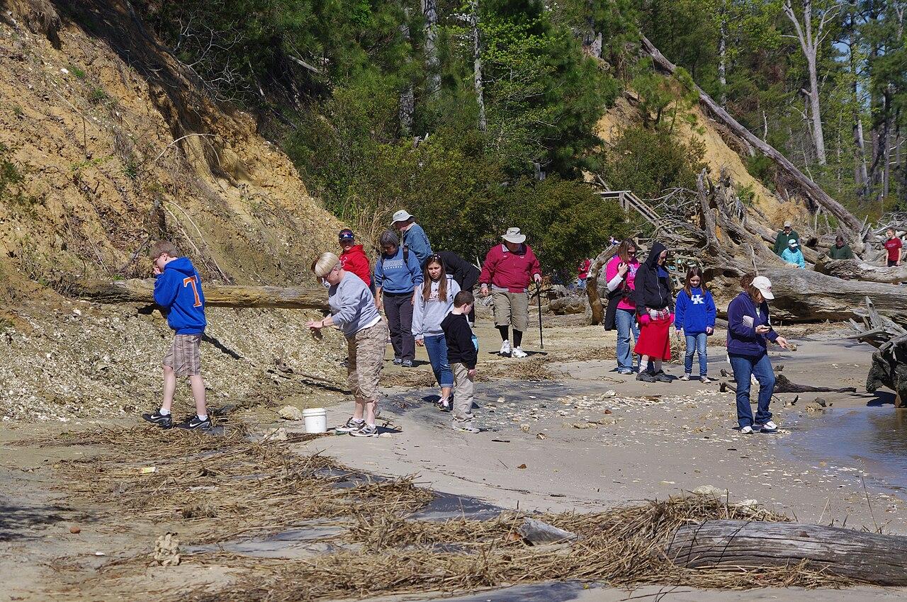 A school group walking in single file along a beach at the foot of an eroding cliff