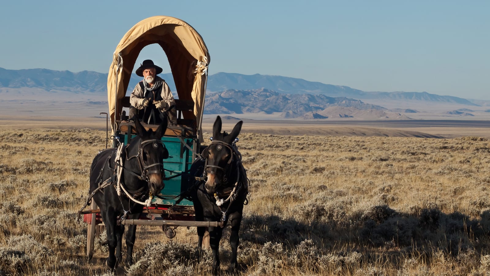 Mule team and covered wagon crossing sagebrush flats with distant mountains near the American Fossil Quarry.