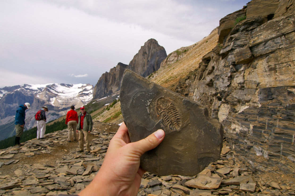 Hand holding a dark shale slab with a fossil specimen, hikers and alpine peaks behind on the Burgess Shale trail.