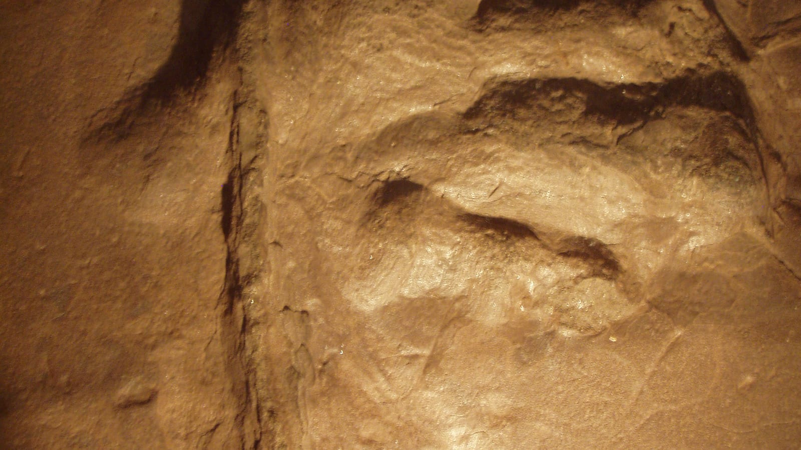 Three-toed dinosaur footprint preserved in tan siltstone, lit from one side, at Dinosaur State Park, Connecticut.