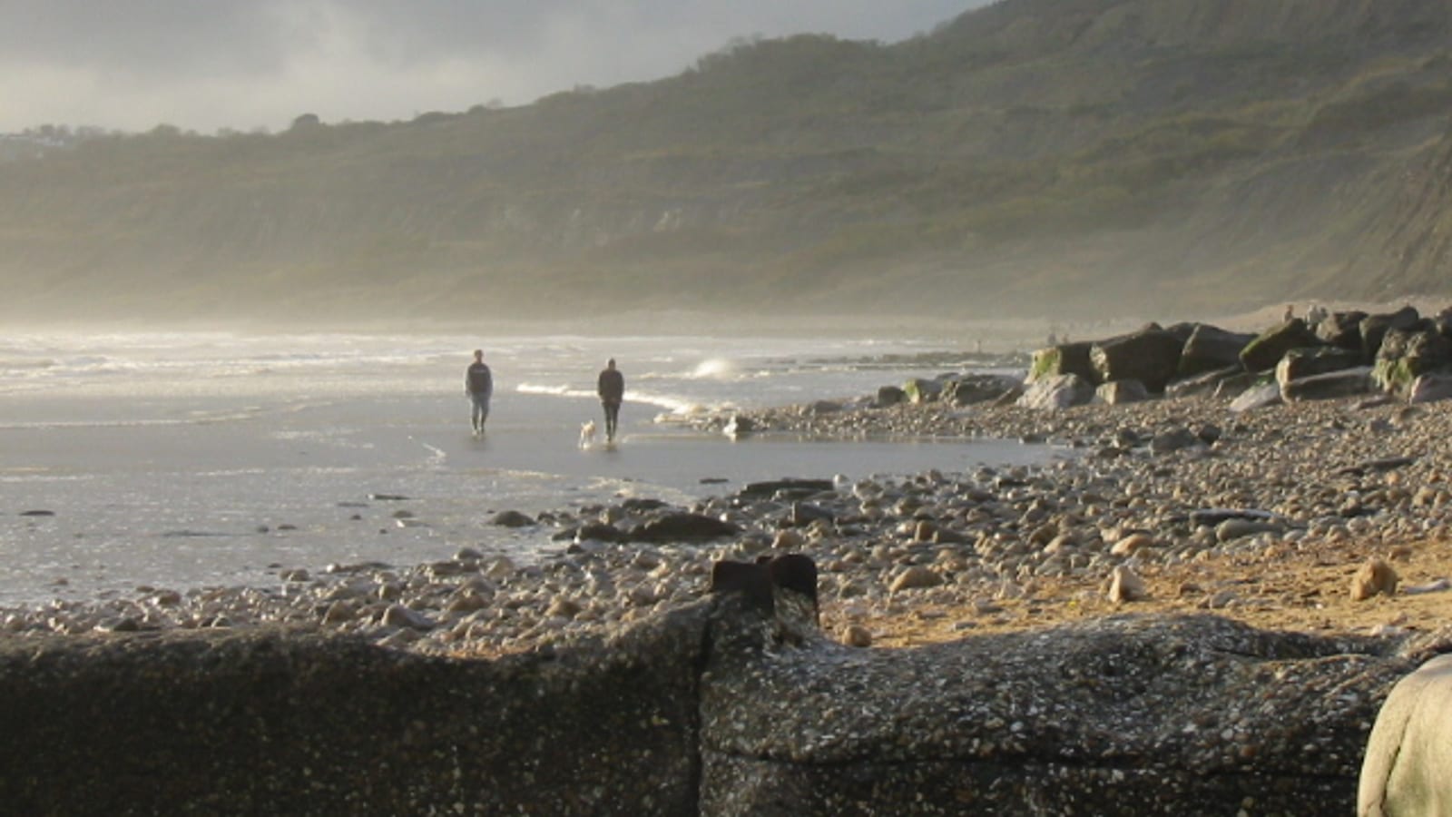 Two people and a dog walking on the misty wet sand below the cliffs at Charmouth Beach in early light, Dorset.
