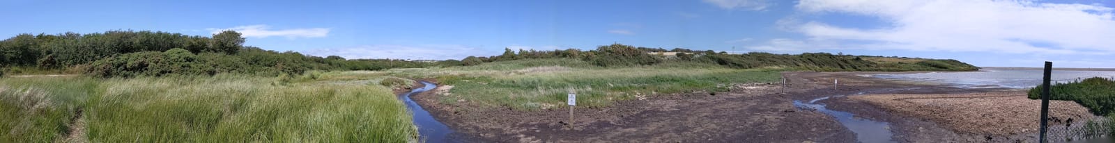 Low shoreline and mudflats at Tidmoor Point on the Fleet lagoon, Dorset.