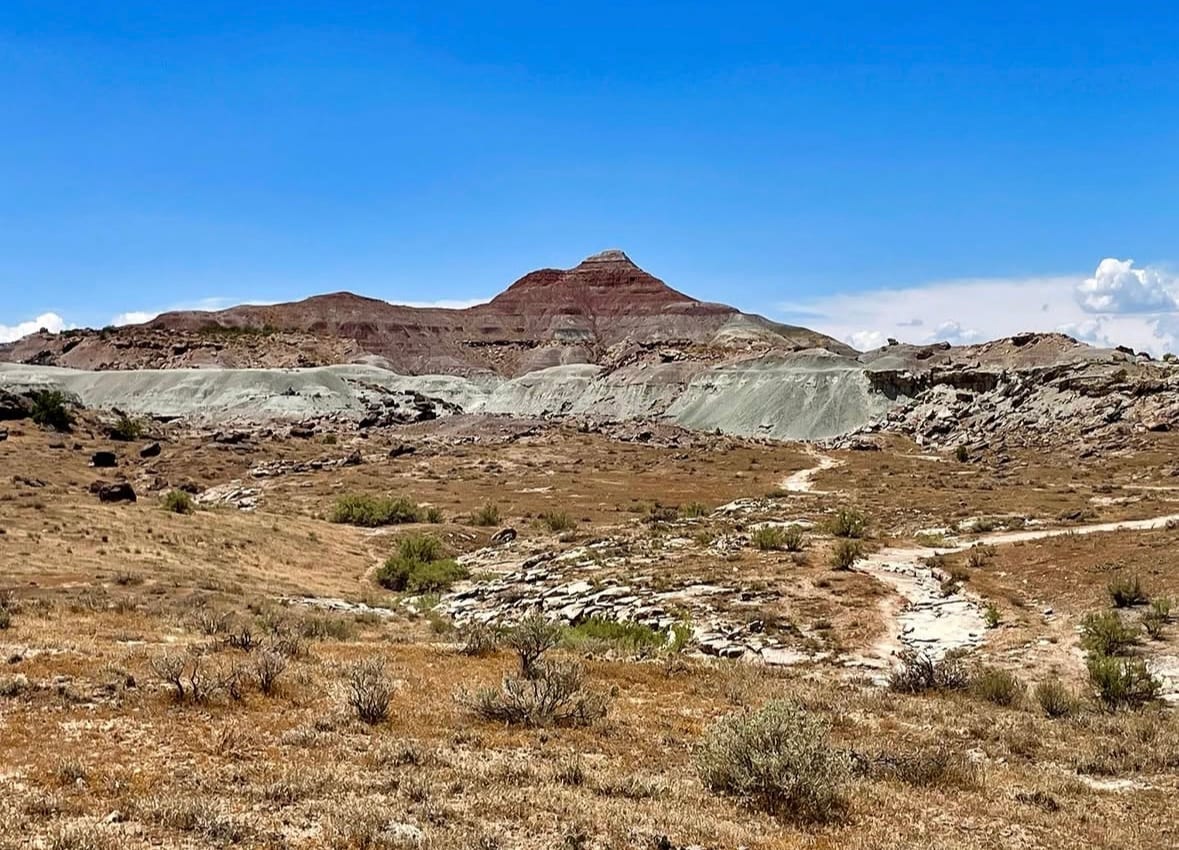 Banded Morrison badlands under a deep blue sky at the Fruita Paleontological Area, with a footpath winding through pale grey slopes.