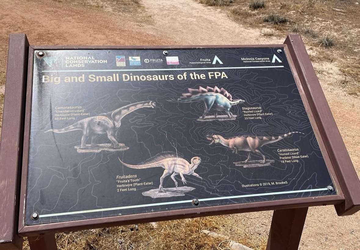 Interpretive panel titled Big and Small Dinosaurs of the FPA, showing Camarasaurus, Stegosaurus, Ceratosaurus and Fruitadens illustrated to scale.