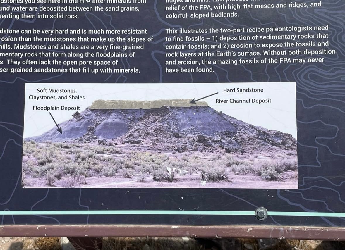 Interpretive panel diagram showing a Morrison Formation hill capped by hard sandstone river channel deposits over soft mudstone floodplain deposits.