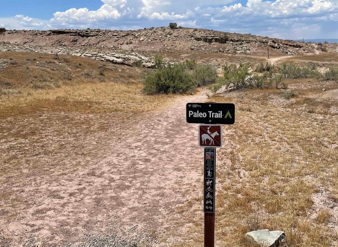 Paleo Trail marker post at the Fruita Paleontological Area, with the sandy trail running back into low Morrison Formation hills.