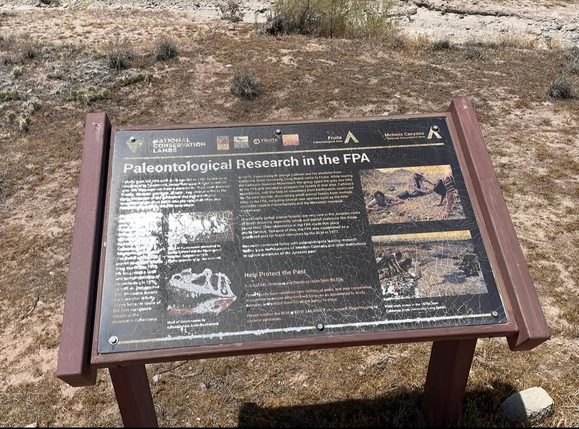 Interpretive panel titled Paleontological Research in the FPA, weathered and crazed, describing the 1975 California State University Long Beach expeditions.